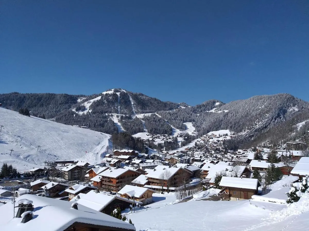 Appartement Cosy 4 Pers. Avec Balcon Et Vue A La Clusaz - Fr-1-459-218